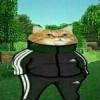 deneme