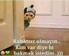 deneme