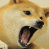 deneme