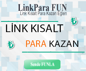 LinkParaFUN